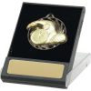 Universal - Clear - Image 2