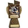 Antique Gold Lynx - Volleyball