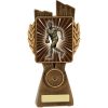 Antique Gold Lynx - Male Aussie Rules - Image 2
