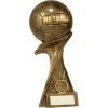 Netball Pinnacle - Image 3