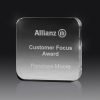 Award Paperweight