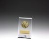 Glass Plaques - Lifesaving