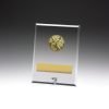 Glass Plaques - Lifesaving - Image 3
