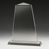 Tribute Award - Image 2