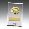 Glass Plaques - Hockey
