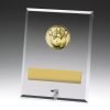 Glass Plaques - Tenpin - Image 3