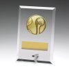 Glass Plaques - Water Polo
