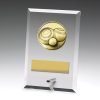 Glass Plaques - Bowls
