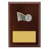 Plaque - Peak Volleyball - Image 2