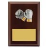 Plaque - Peak Boxing