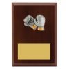 Plaque - Peak Boxing - Image 2