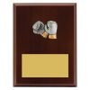 Plaque - Peak Boxing - Image 3