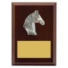 Plaque - Peak Horse