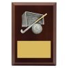 Plaque - Peak Hockey