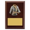 Plaque - Peak Karate