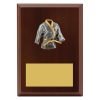 Plaque - Peak Karate - Image 2