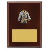 Plaque - Peak Karate - Image 3