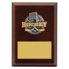 Plaque - Peak Ice Hockey