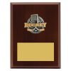 Plaque - Peak Ice Hockey - Image 3