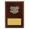 Plaque - Peak Lacrosse - Image 2