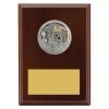 Plaque - Peak Water Polo