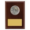 Plaque - Peak Water Polo - Image 2