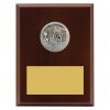 Plaque - Peak Water Polo - Image 3