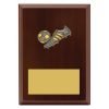Plaque - Peak Football - Image 2