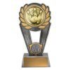 Polaris Trophy - Image 3