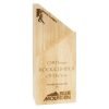 Arrow Award - Image 2