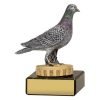 Pigeon Marble