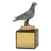 Pigeon Marble - Image 2
