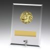 Glass Plaques - Male - Image 2