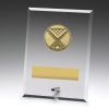 Glass Plaques - Pool - Image 2