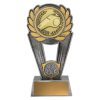 Polaris Trophy - Image 3