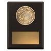 Challenge Plaque - Rugby - Image 2