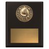 Challenge Plaque - Water Polo - Image 3