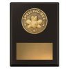 Challenge Plaque - Spelling Bee - Image 2