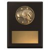 Challenge Plaque - MMA - Image 2