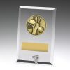 Glass Plaques - Cricket
