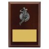 Plaque - Male Bowling