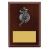 Plaque - Male Bowling - Image 2