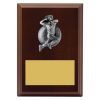 Plaque - Female Bowling