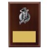 Plaque - Female Bowling - Image 2