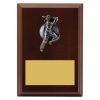 Plaque - Female Batting