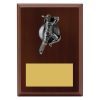 Plaque - Female Batting - Image 2