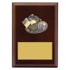 Plaque - Peak Lifesaving
