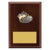 Plaque - Peak Lifesaving - Image 2