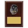 Plaque - Wicketkeeper