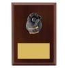 Plaque - Wicketkeeper - Image 2